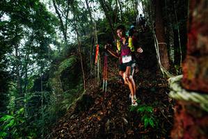 BIB: 
                            <button type="button" onclick="openModal(26198266)" class="btn btn-primary btn-sm float-right btn-popup" data-toggle="modal" data-target=".modal-high-quality">
                        <i class="fas fa-shopping-cart"></i> Add to Cart
                    </button>
                                            <button type="button" onclick="isThisMe(26198266, true)" class="btn btn-success btn-sm float-right btn-popup btn-isme hidden" data-toggle="tooltip" data-placement="bottom" title="นี่คือรูปของคุณใช่ไหม คลิกที่นี่เพื่อเอาเข้าอัลบั้ม">
                        <i class="fas fa-plus"></i> Add to album
                    </button>
                    <button type="button" onclick="isThisMe(26198266, false)" class="btn btn-warning btn-sm float-right btn-popup btn-isnotme hidden">
                        <i class="fas fa-ban"></i> Remove from album
                    </button>